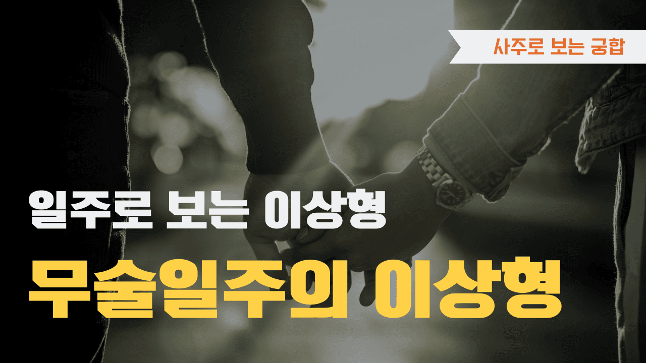 무술일주의 이상형