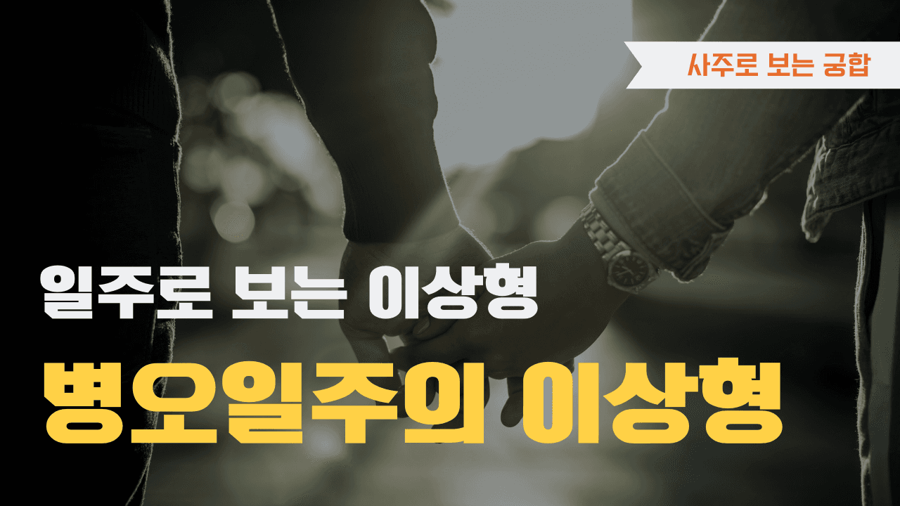 병오일주 이상형