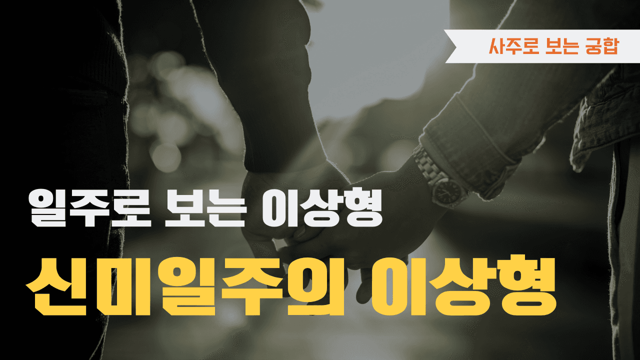 신미일주 이상형