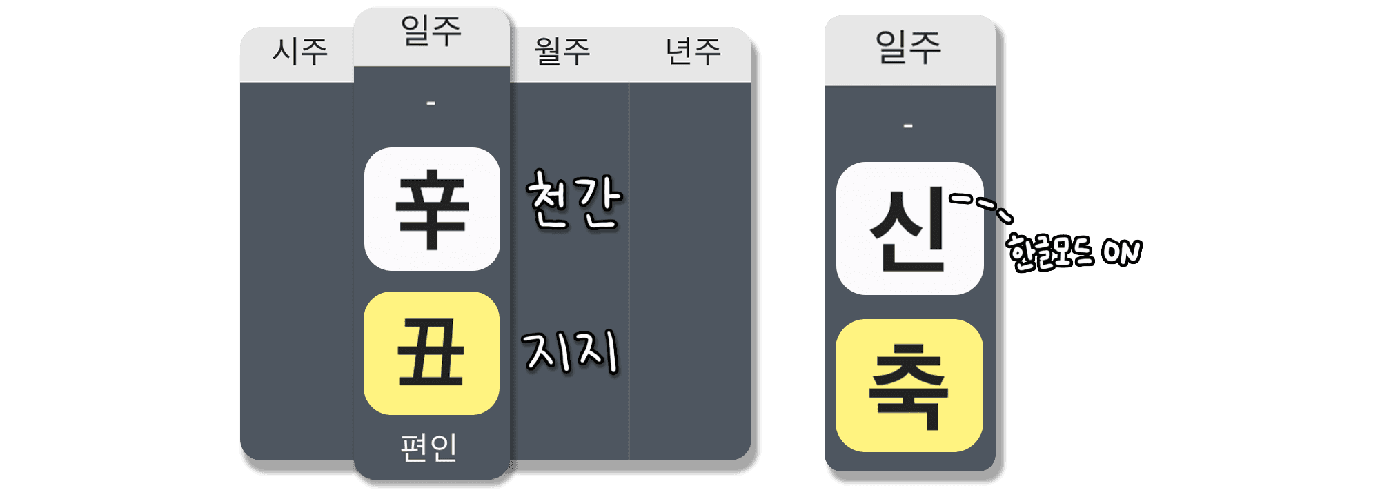 신축일주 특징