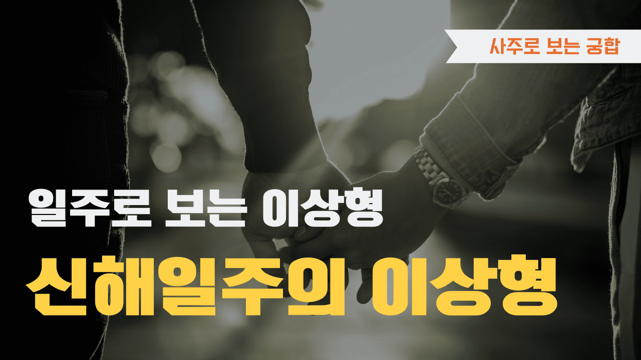 신해일주 이상형