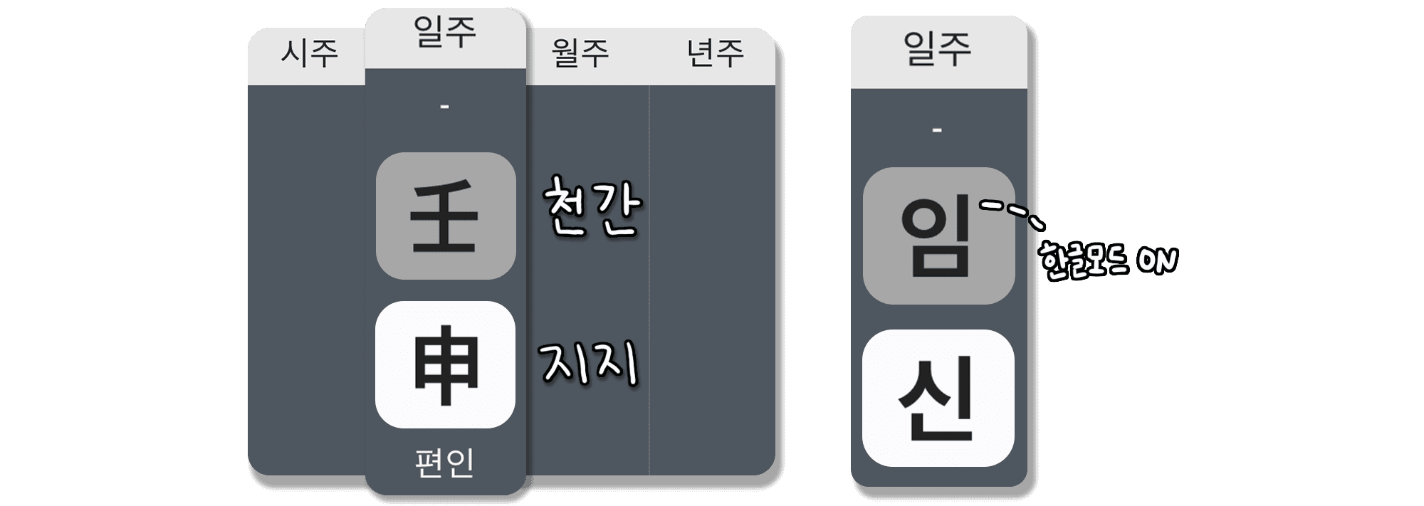 임신일주 특징