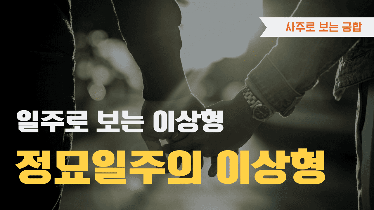 정묘일주 이상형