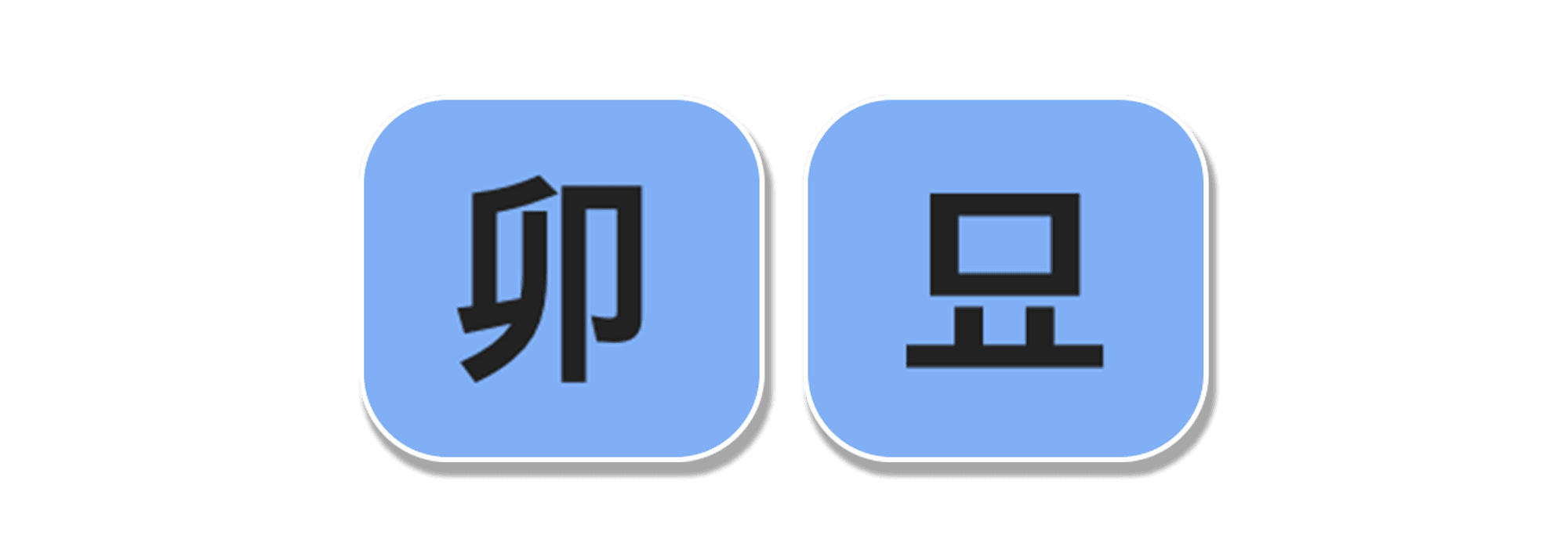 지지 묘목